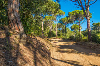 Cim del Montalt. Sant Vicenç de Montalt