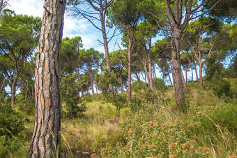 Ruta Rocs de Moro. Sant Vicenç de Montalt