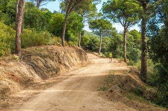 Ruta Rocs de Moro. Sant Vicenç de Montalt