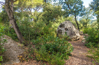 Ruta Rocs de Moro. Sant Vicenç de Montalt