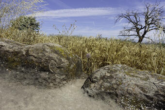 Rutes a SAnt Fruitos de Bages