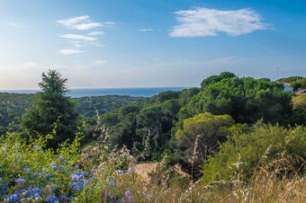 Sant Vicenç de Montalt