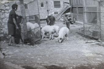 Un passeig pel passat a Sant Julià de Cerdanyola