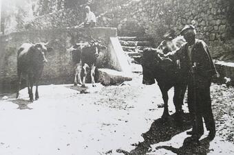 Un passeig pel passat a Sant Julià de Cerdanyola
