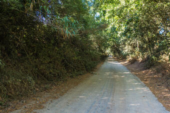 Ruta Passeig Marquès de Casa Riera. Sant Vicenç de Montalt