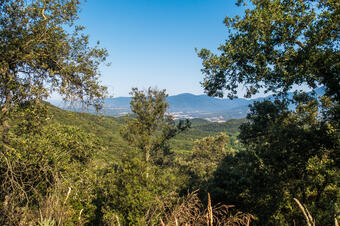 Ruta-Joc dels Bosc i la Pagesia. Vallgorguina