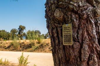 Ruta-Joc dels Bosc i la Pagesia. Vallgorguina