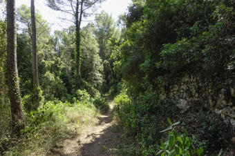 Ruta joc a la Palma