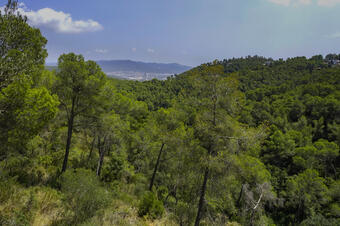Ruta joc a la Palma