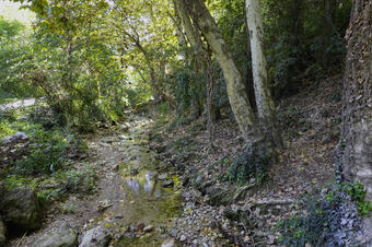 Ruta joc a La Palma
