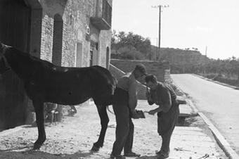 Ferrant un cavall al carrer, 1931.