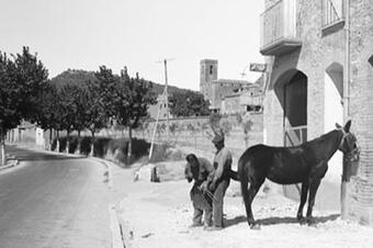 Ferrant un cavall amb el campanar de Sant Pere al fons, 1931.