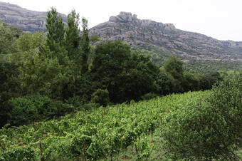 Ruta-joc: Patrimoni a la Vall d'Horta. 