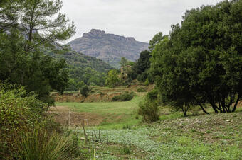 Ruta-joc: Patrimoni a la Vall d'Horta