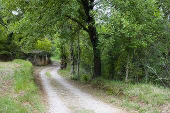 Ruta-joc: Patrimoni a la Vall d'Horta
