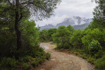 Ruta-joc: Patrimoni a la Vall d'Horta