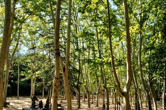 Parc de Sant Salvador, Santa Coloma de Farners