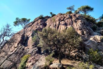 Turó del Vent, Santa Coloma de Farners