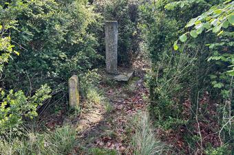 Vèrtex geodèsic de Santa Margarida de Vinyoles, les Llosses