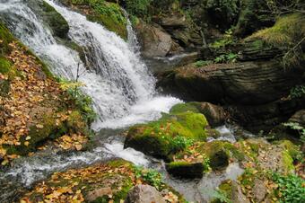 Fonts del Llobregat, Castellar de n'Hug
