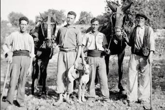 Memòria en ruta al Catllar – Pagesos al camp amb el gos, cap al 1950