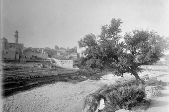 Memòria en ruta al Catllar – La vila vista des del camí del riu, 1923