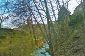 <p>Foto: jordi domènech, CC BY-SA 3.0, via Wikimedia Commons (millorada amb IA)</p> Riera d'Arbúcies al seu pas pel poble, Arbúcies