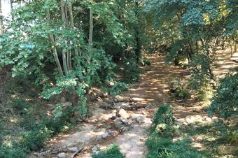 Riera de Santa Coloma des del pont de Sant Salvador, Santa Coloma de Farners