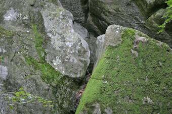 <p>Foto: Alberto-g-rovi, CC BY 3.0, via Wikimedia Commons</p> Roques Encantades entre la molsa i el bosc, Sant Feliu de Pallerols