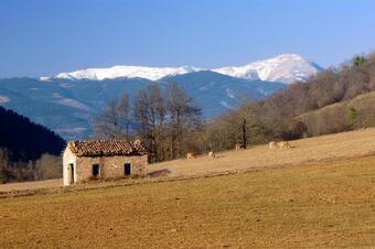 Prats i cabana a prop de Sant Pau Vell amb el Pirineu nevat al fons, Sant Pau de Segúries