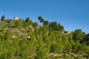 Camí del Castell Vell d'Olivella. Olivella.