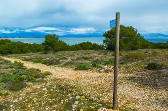 "Ruta a Planasses Salpatx". Parc Natural del Montgrí, Illes Medes i el Baix Ter.