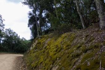 Ruta del dolmen de Pedra Gentil.