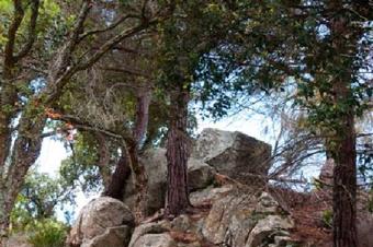 Roques i pedres de Vallgorguina.