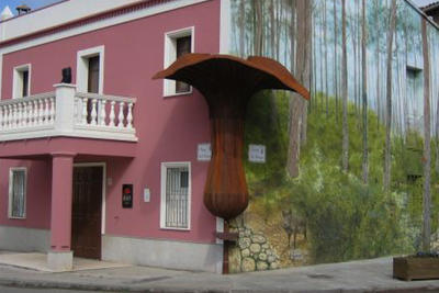 museu del Bolet Montmajor