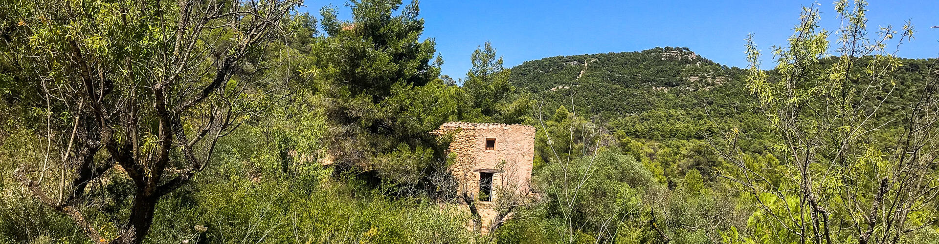 Ruta de les Trinxeres i la serra de les Obagues. La Torre de l'Espanyol.