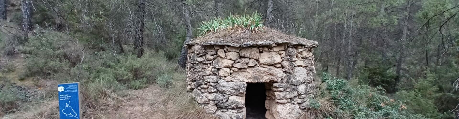 Barraques de pedra seca de can Tardà. Castellilí