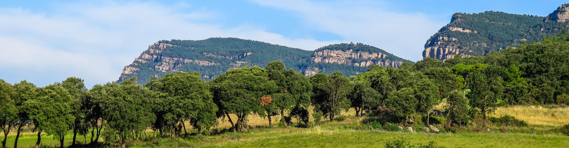 Ruta al serrat de Malla i Sant Salvador. L'Espunyola