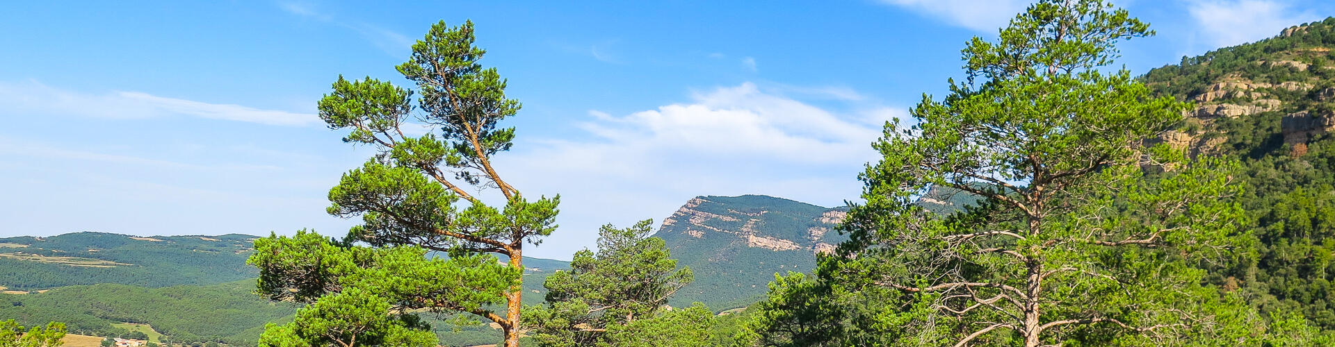 Ruta al serrat de Malla i Sant Salvador. L'Espunyola