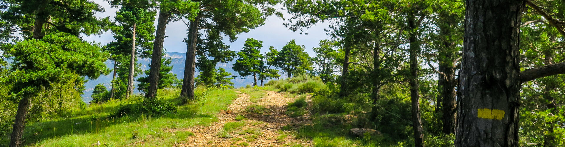 Ruta al serrat de Malla i Sant Salvador. L'Espunyola