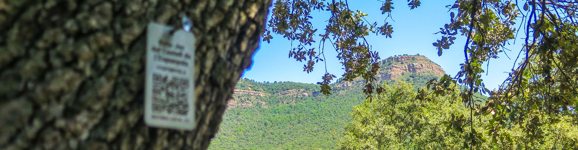 Ruta-Joc del Castell de l'Espunyola, L'Espunyola