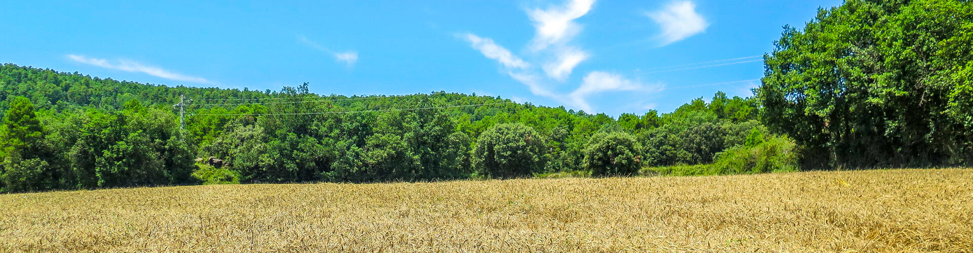 Ruta-Joc del Castell de l'Espunyola, L'Espunyola