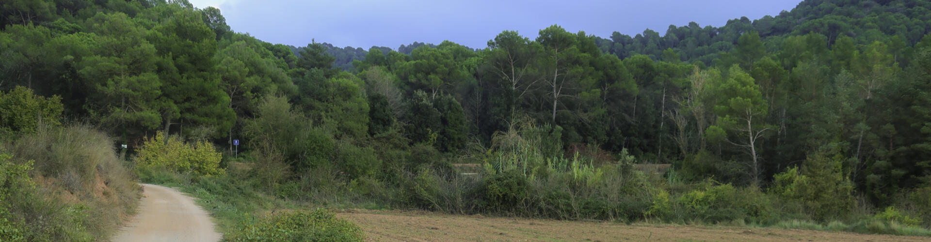 Sant LLorenç Savall