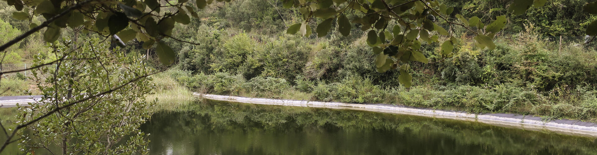 Sant LLorenç Savall