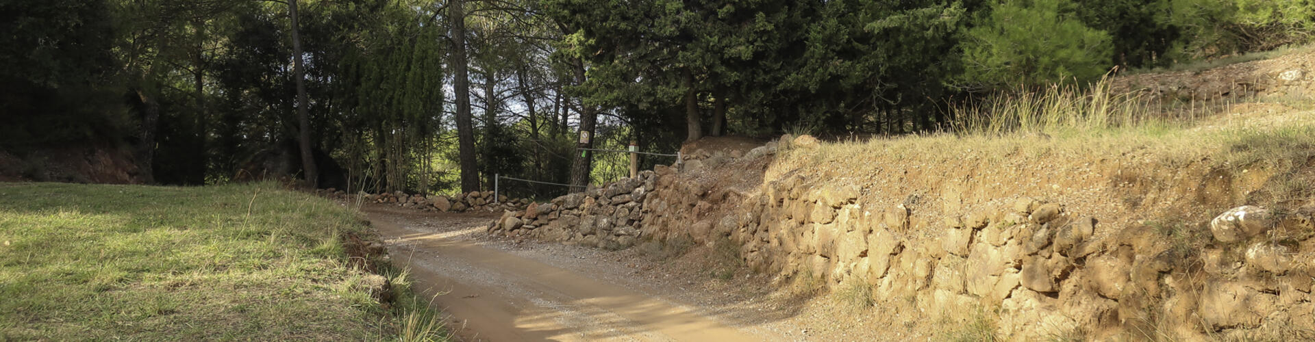 Sant LLorenç Savall