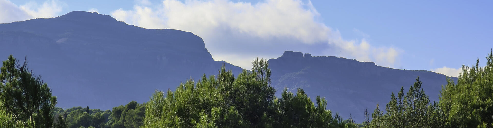 Sant LLorenç Savall
