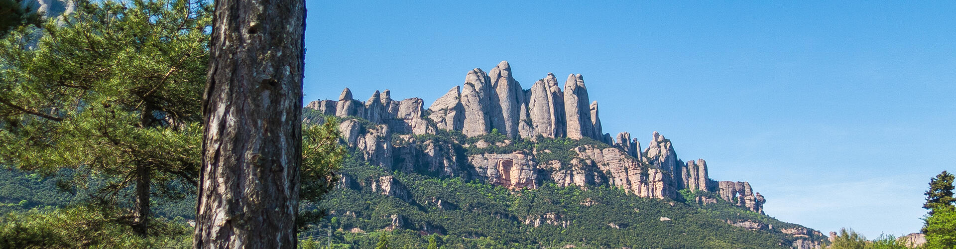 RUTA DE MARGANELL AL MONESTIR DE SANTA CECÍLIA