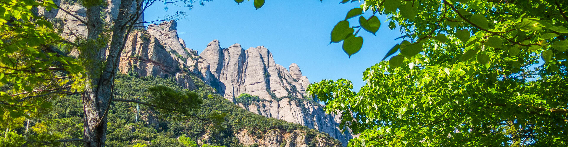 RUTA DE MARGANELL AL MONESTIR DE SANTA CECÍLIA