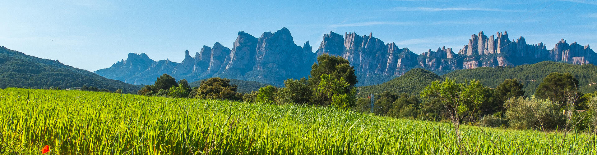 RUTA DE MARGANELL AL MONESTIR DE SANTA CECÍLIA