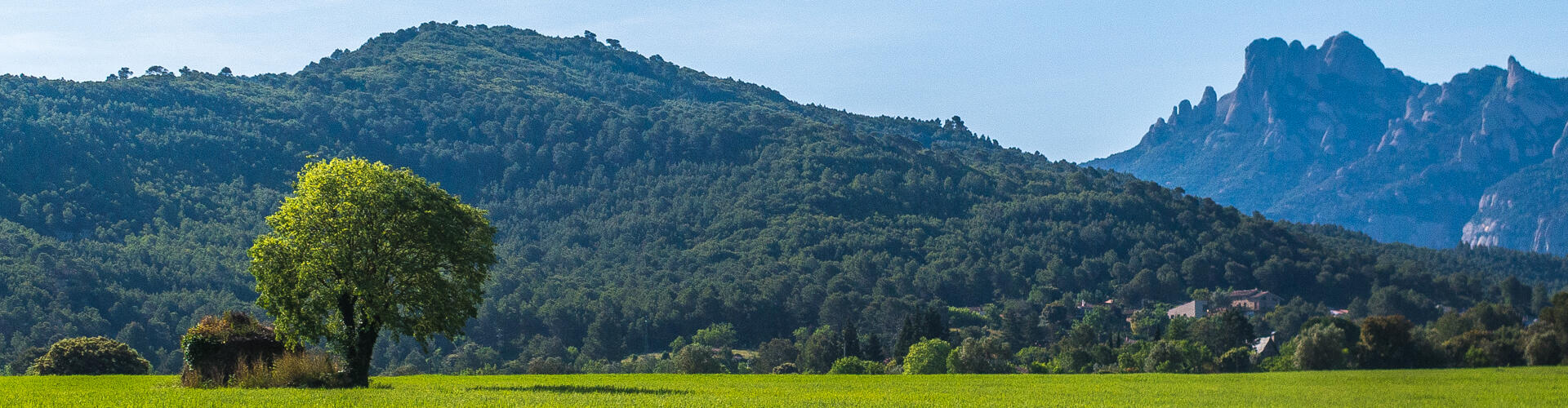 RUTA DE MARGANELL AL MONESTIR DE SANTA CECÍLIA